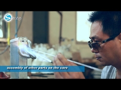 introduzione della società